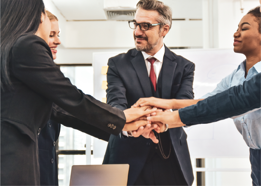 Fresh dates on palm tree